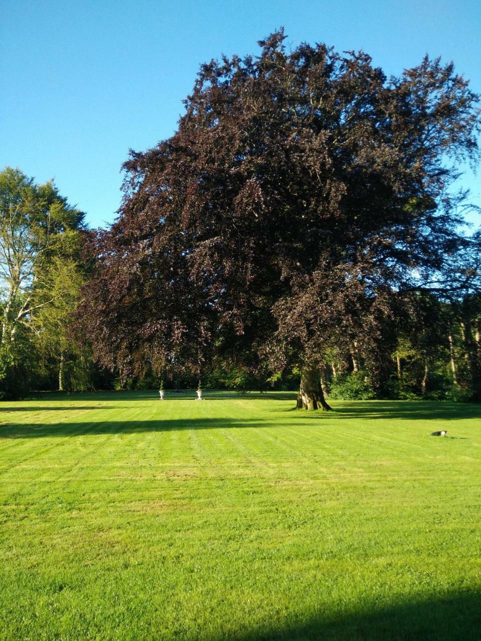 Dronninglund Slot Otel Dış mekan fotoğraf